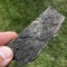Aulacopleura konincki